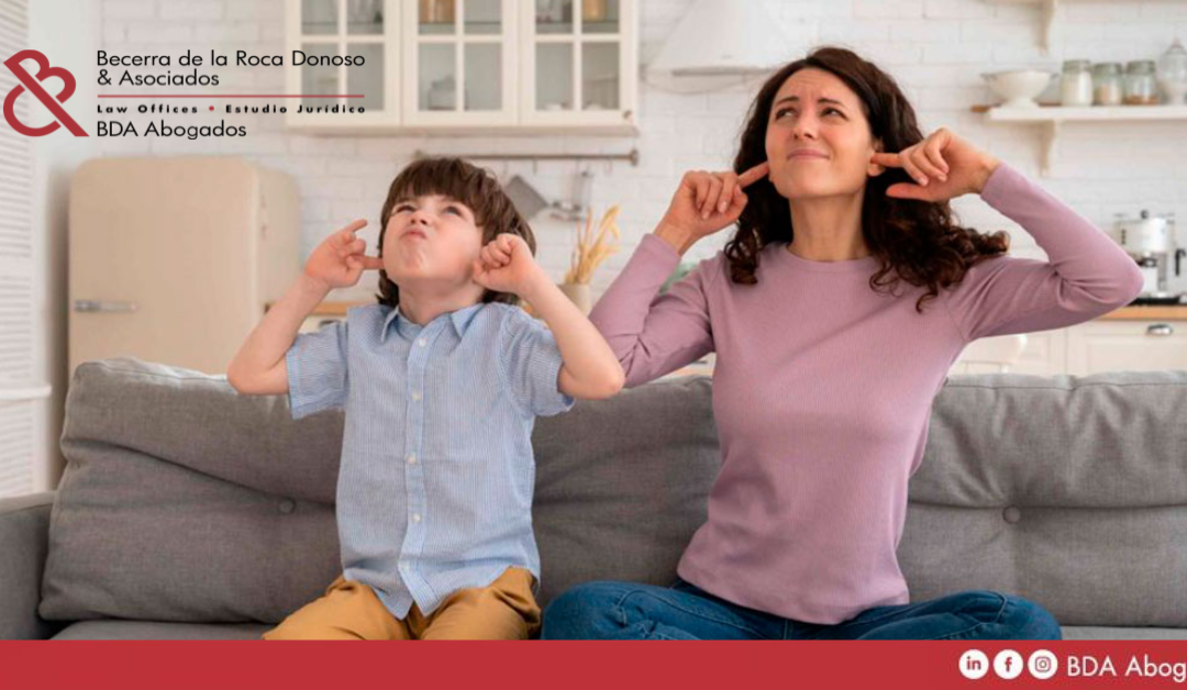 El derecho a la buena vecindad: La necesidad de juzgados contravencionales