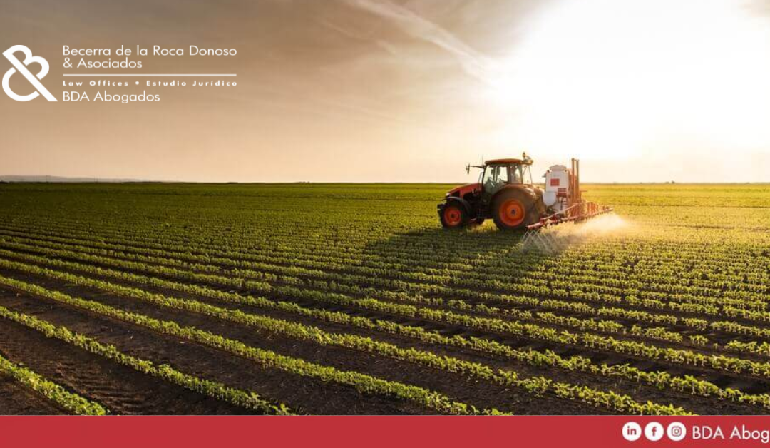 Reconversión de la pequeña propiedad a mediana propiedad